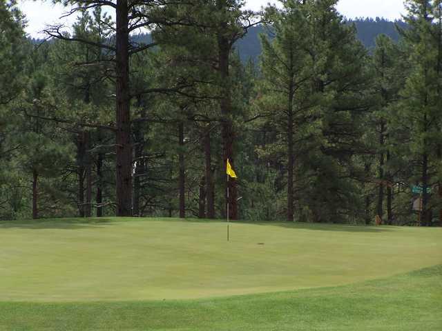 Bison Golf Club