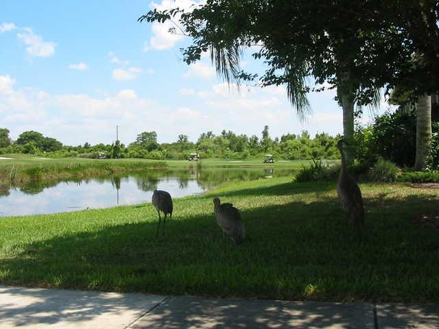 Kissimmee Bay Country Club