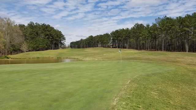 The Frog at the Georgian