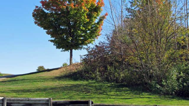 Bluff Creek Golf Course golf course