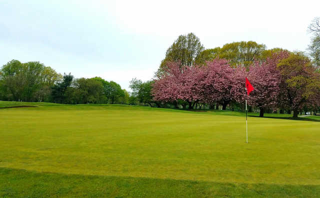 Clearview Park Golf Course golf course