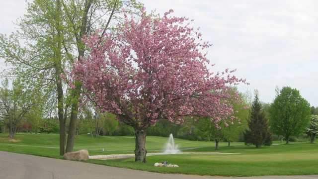 IMA Brookwood Golf Club golf course