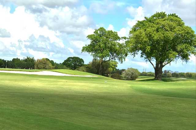 Miccosukee Golf and Country Club golf course