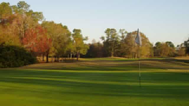 The Eagles Golf Club - Forest golf course