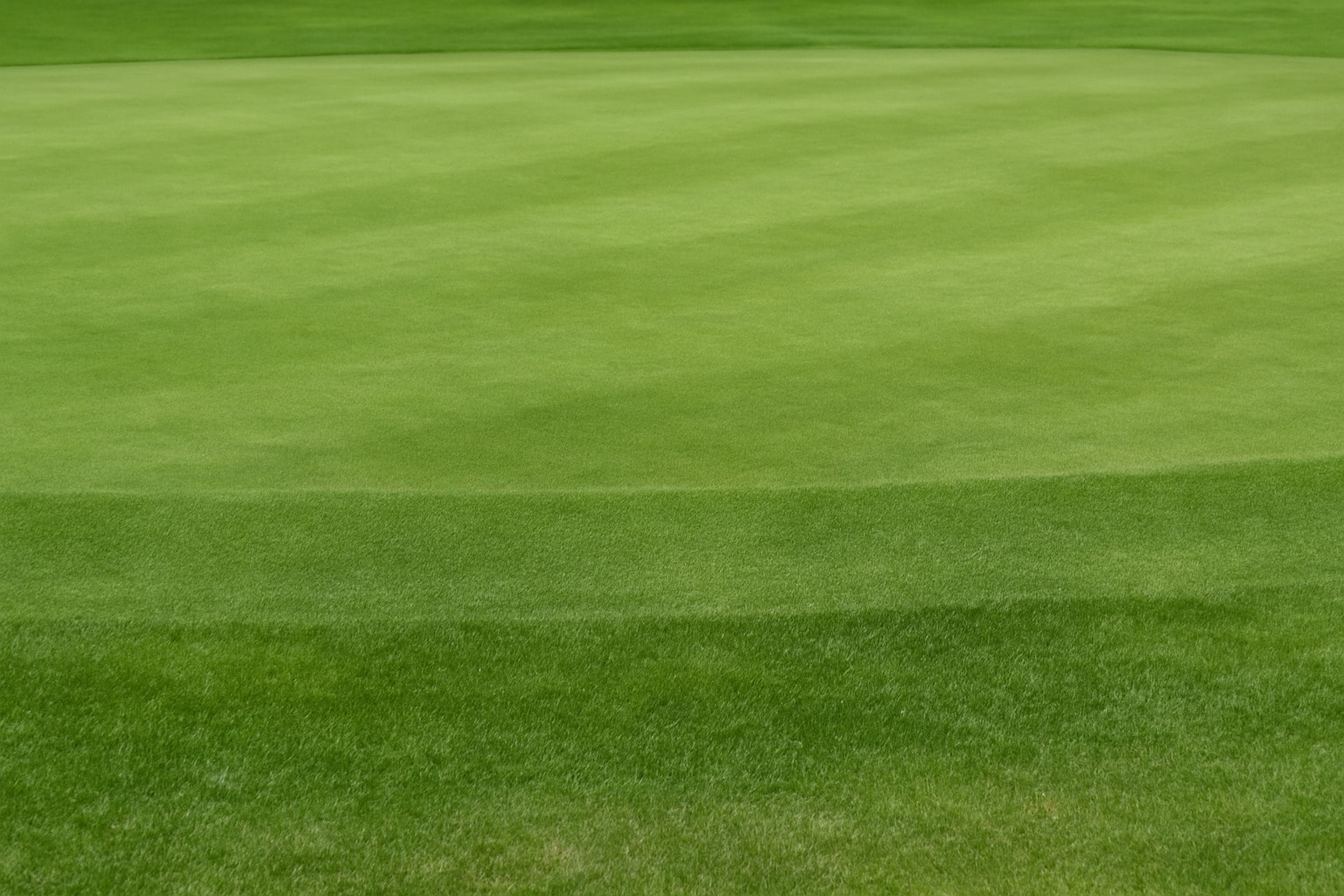 Fringe (apron) in golf showing the transition between the putting green and fairway. Fringe (apron) in golf showing the transition between the putting green and fairway.