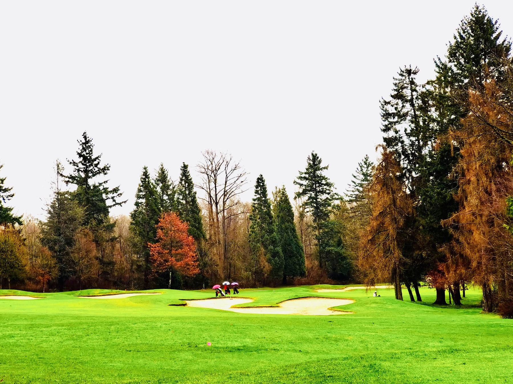 A fall round under umbrellas - Fraserview’s beauty holds up, rain or shine. A fall round under umbrellas - Fraserview’s beauty holds up, rain or shine.