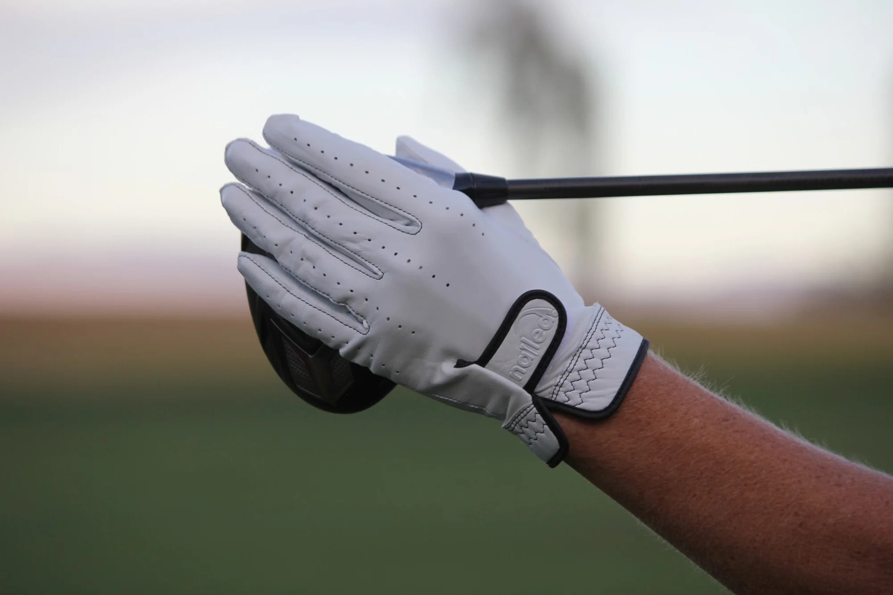A golfer wearing a glove on the left hand, the lead hand for right-handed players, for better grip and control during the swing. A golfer wearing a glove on the left hand, the lead hand for right-handed players, for better grip and control during the swing.