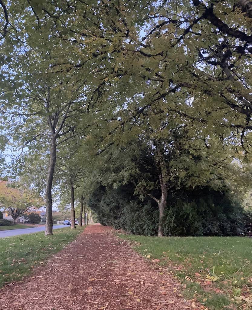 A peaceful walking trail near Fraserview, lined with trees and soft mulch-ideal for a quiet stroll any time of day. A peaceful walking trail near Fraserview, lined with trees and soft mulch-ideal for a quiet stroll any time of day.