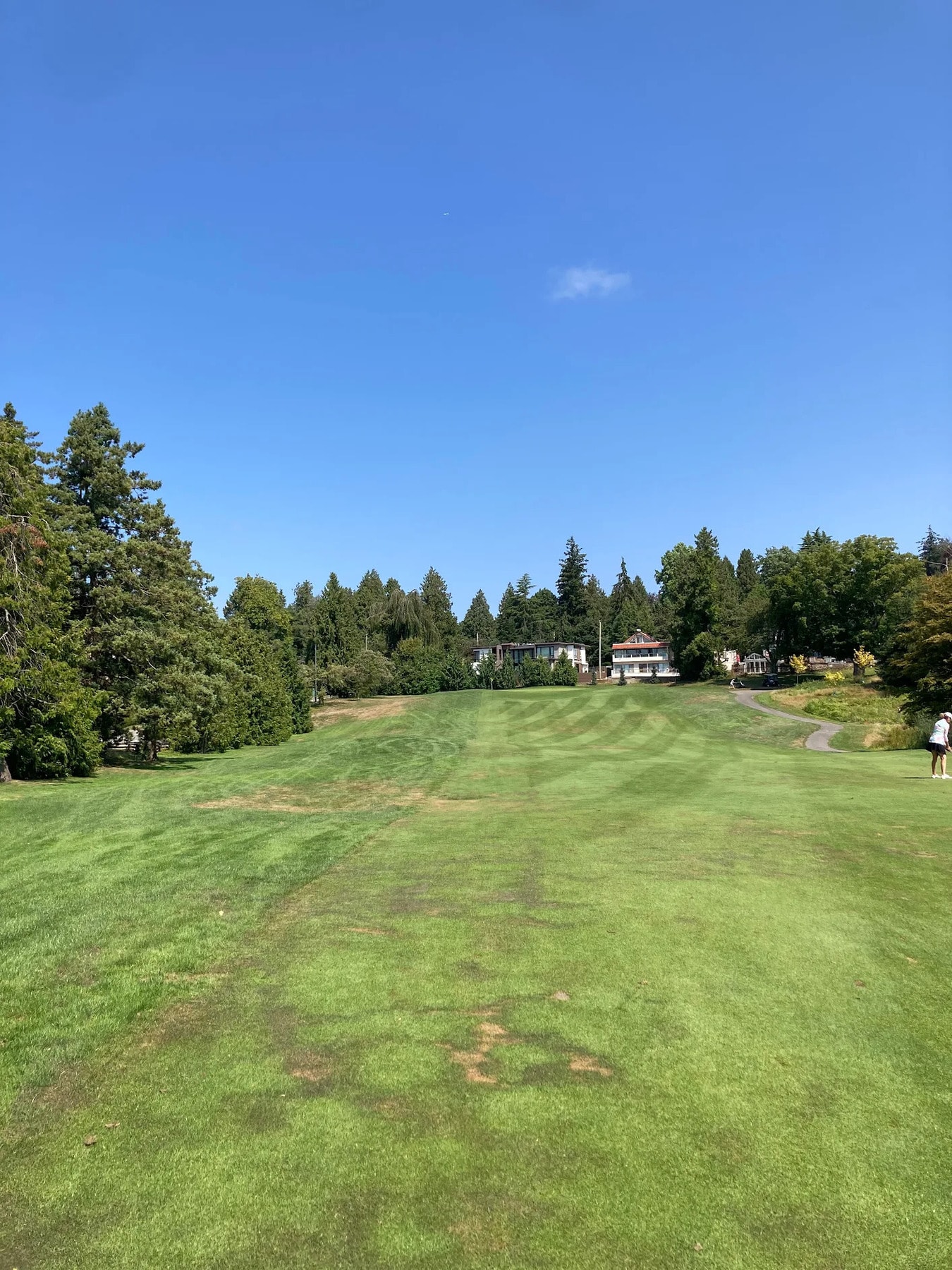 A clear summer day at McCleery Golf Course — wide fairways, tree-lined views, and the clubhouse in sight. A clear summer day at McCleery Golf Course — wide fairways, tree-lined views, and the clubhouse in sight.