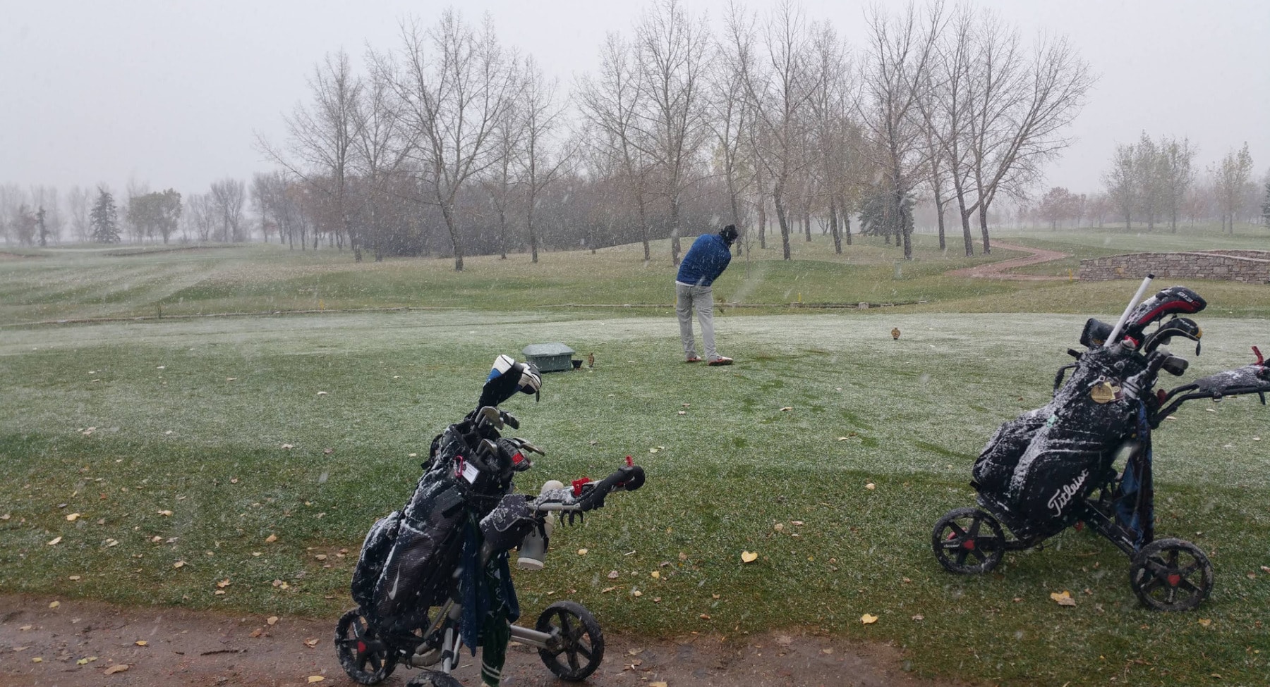 A determined golfer tees off in the snow at Royal Regina Golf Club, embracing Saskatchewan’s unpredictable fall weather. A determined golfer tees off in the snow at Royal Regina Golf Club, embracing Saskatchewan’s unpredictable fall weather.