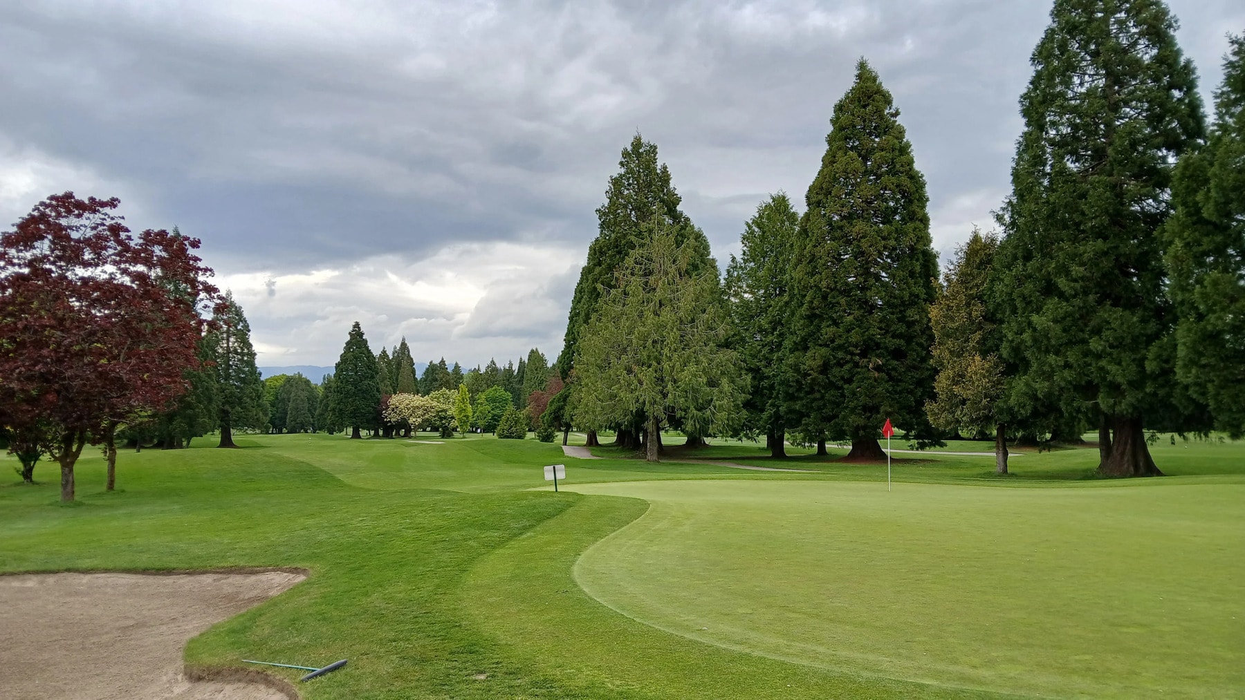 A lush green surrounded by towering trees at McCleery—tight lies, subtle breaks, and plenty of Pacific Northwest charm. A lush green surrounded by towering trees at McCleery—tight lies, subtle breaks, and plenty of Pacific Northwest charm.