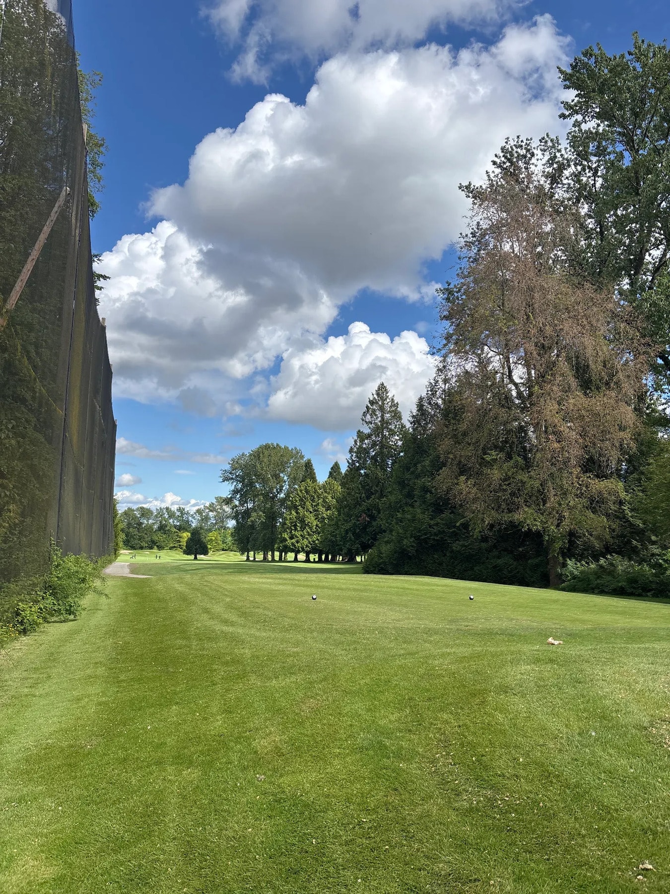 A quiet, tree-lined fairway at Langara Golf Course—perfect for a relaxed, scenic round just minutes from downtown Vancouver. A quiet, tree-lined fairway at Langara Golf Course—perfect for a relaxed, scenic round just minutes from downtown Vancouver.