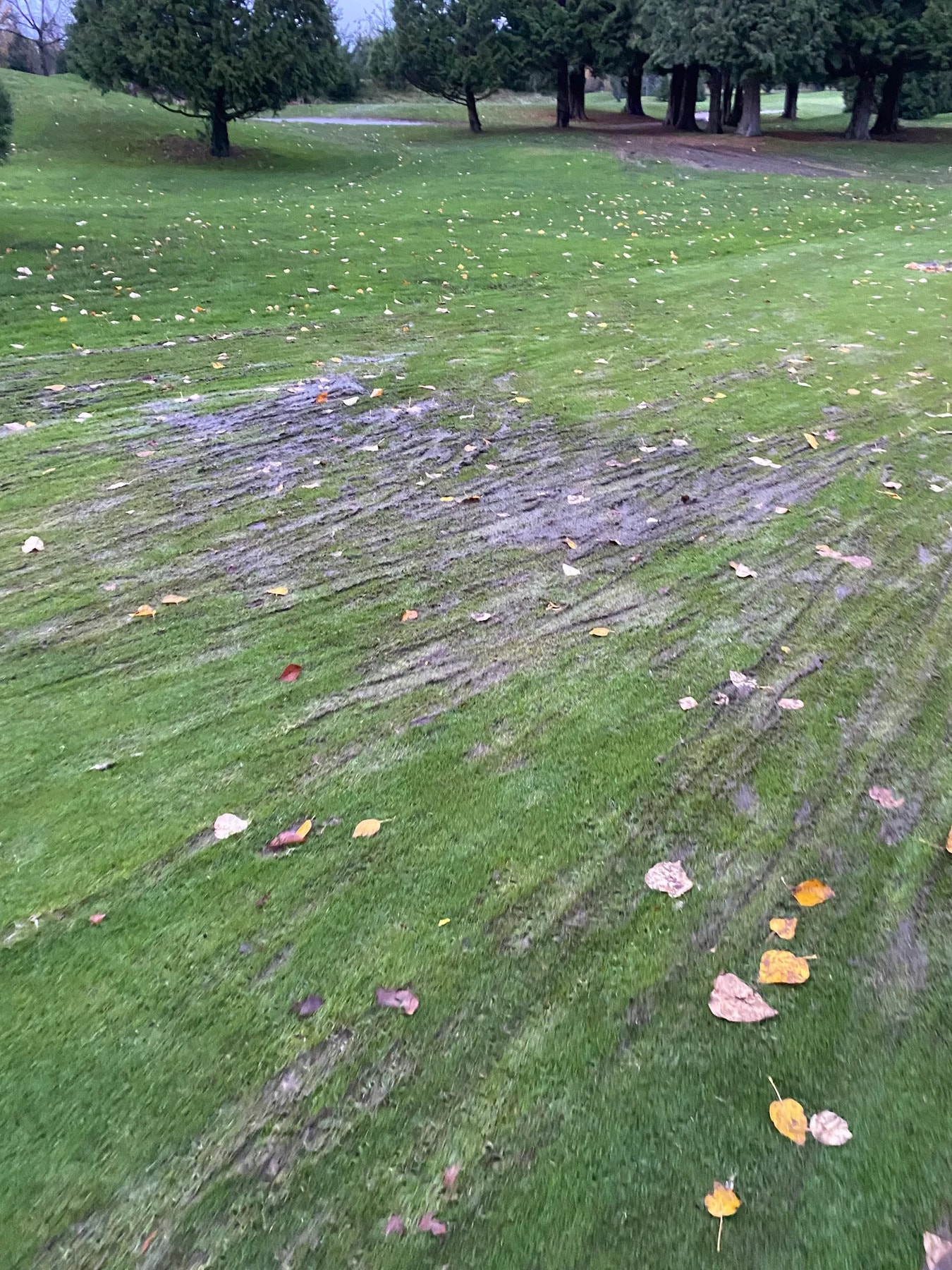 A soggy reminder that even great courses like Langara have their muddy days—pack your waterproofs and maybe an extra towel! A soggy reminder that even great courses like Langara have their muddy days—pack your waterproofs and maybe an extra towel!