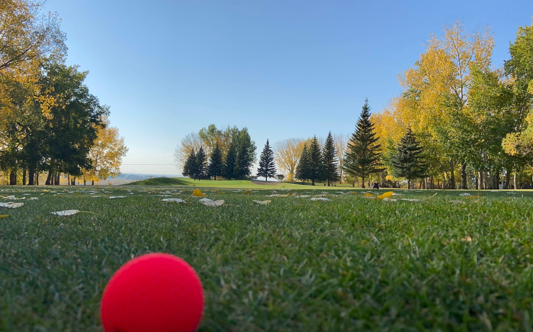 Autumn colours frame a crisp morning round at North Battleford Golf & Country Club in Saskatchewan. Autumn colours frame a crisp morning round at North Battleford Golf & Country Club in Saskatchewan.
