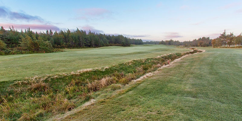 Clovelly Golf Club - Black Duck Clovelly Golf Club - Black Duck