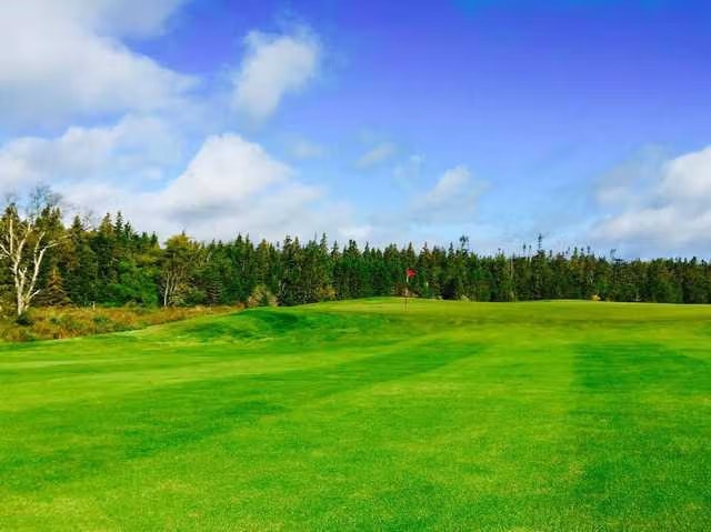 Clovelly Golf Club - The Osprey Clovelly Golf Club - The Osprey