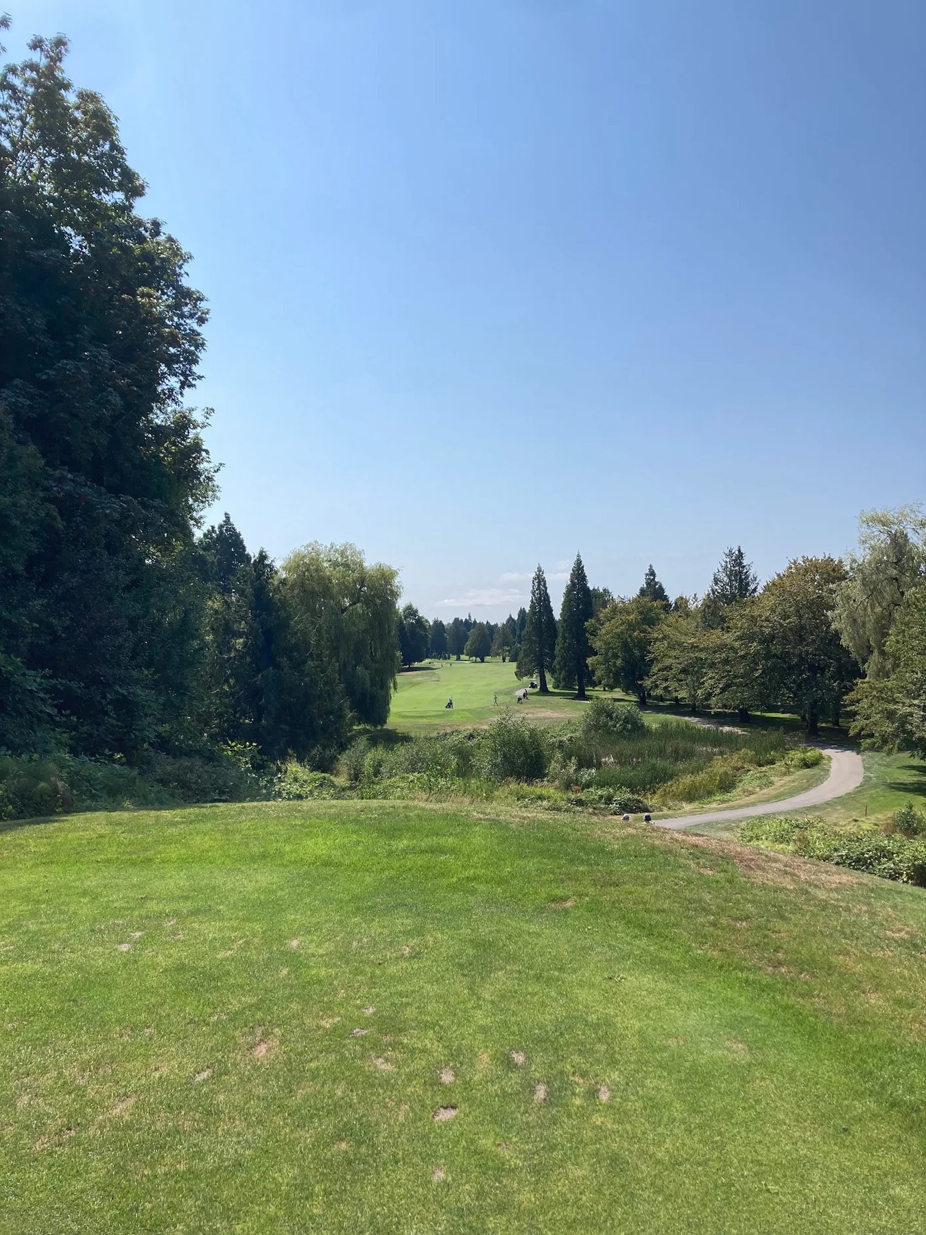 Elevated tee box at McCleery—lush views, tree-lined fairway, and a peaceful challenge ahead. Elevated tee box at McCleery—lush views, tree-lined fairway, and a peaceful challenge ahead.