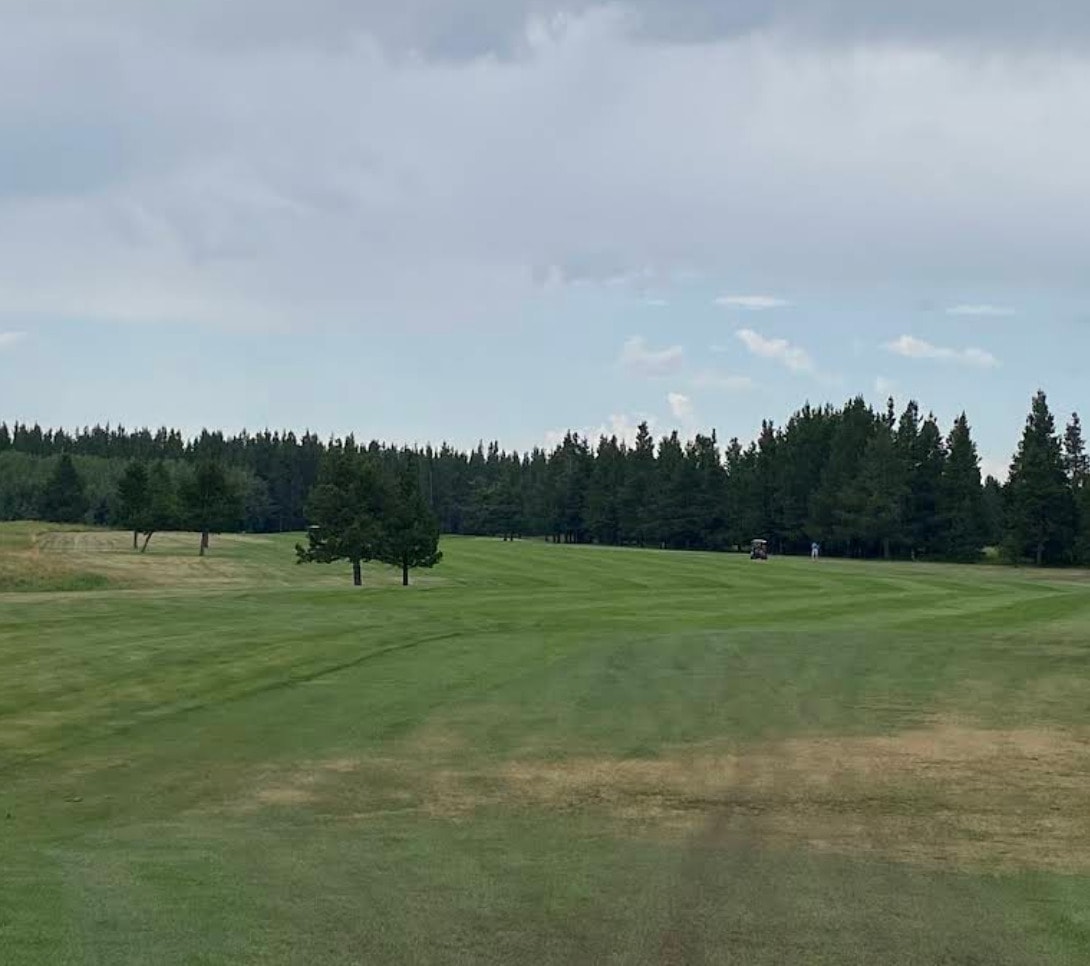 Expansive fairway at Cypress Hills Golf Course, surrounded by quiet evergreens and open skies in the heart of Cypress Hills Interprovincial Park. Expansive fairway at Cypress Hills Golf Course, surrounded by quiet evergreens and open skies in the heart of Cypress Hills Interprovincial Park.