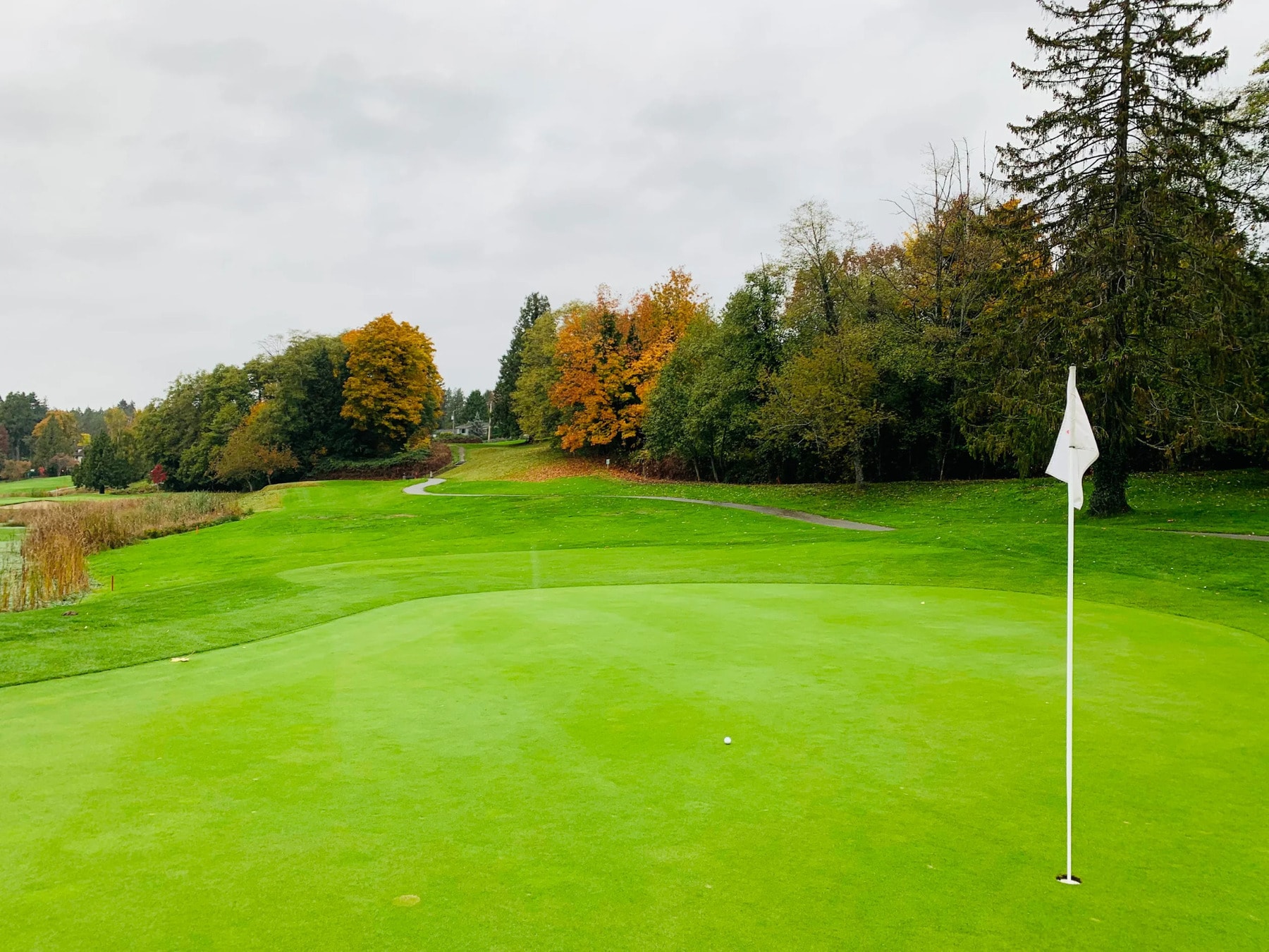 Fall colors meet pure greens — McCleery in October offers a stunning backdrop for your short game. Fall colors meet pure greens — McCleery in October offers a stunning backdrop for your short game.