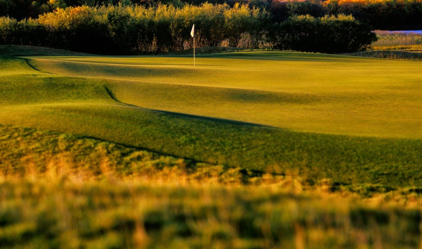 Golden evening light sweeps across the rolling green at Moon Lake Golf & Country Club Golden evening light sweeps across the rolling green at Moon Lake Golf & Country Club