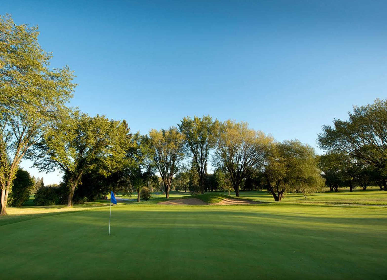Morning calm over the greens and tree-lined fairways at Holiday Park Golf Course in Saskatoon. Morning calm over the greens and tree-lined fairways at Holiday Park Golf Course in Saskatoon.