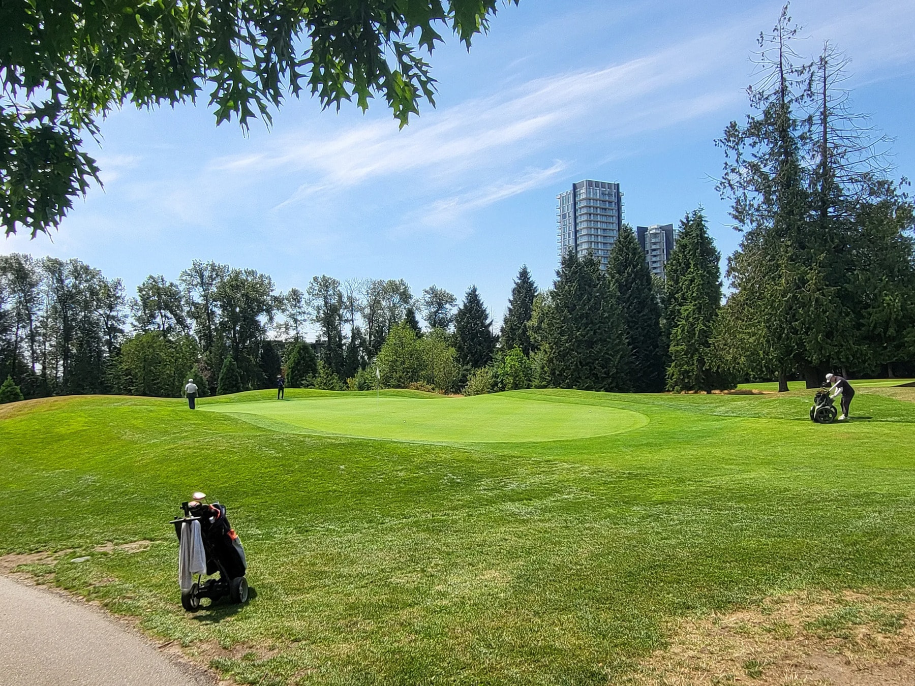 One of Langara’s elevated greens with skyline views—quiet, clean, and made for a chill short game. One of Langara’s elevated greens with skyline views—quiet, clean, and made for a chill short game.