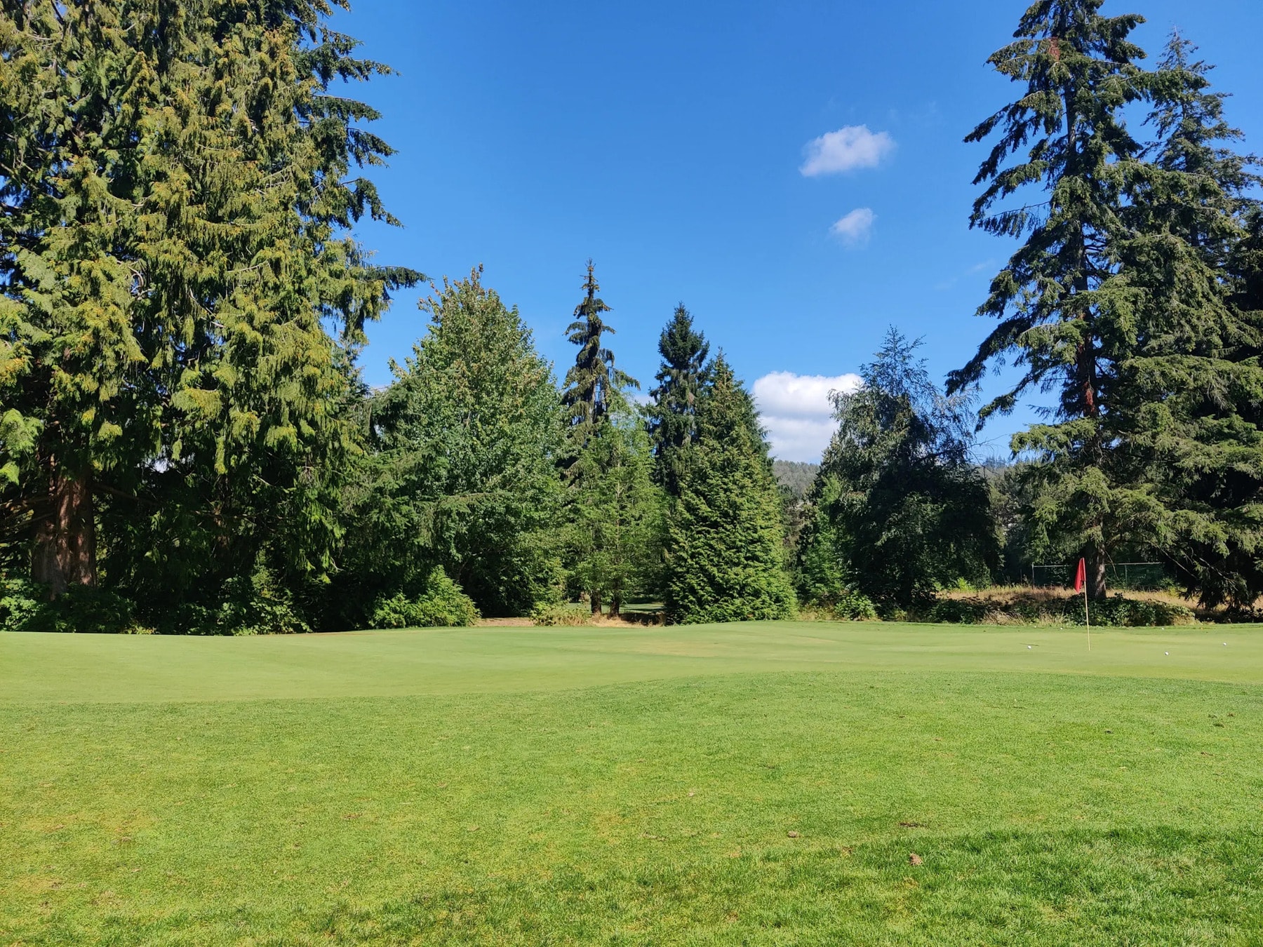 Peaceful putting green surrounded by towering evergreens - a signature Burnaby Mountain view on a clear summer day. Peaceful putting green surrounded by towering evergreens - a signature Burnaby Mountain view on a clear summer day.