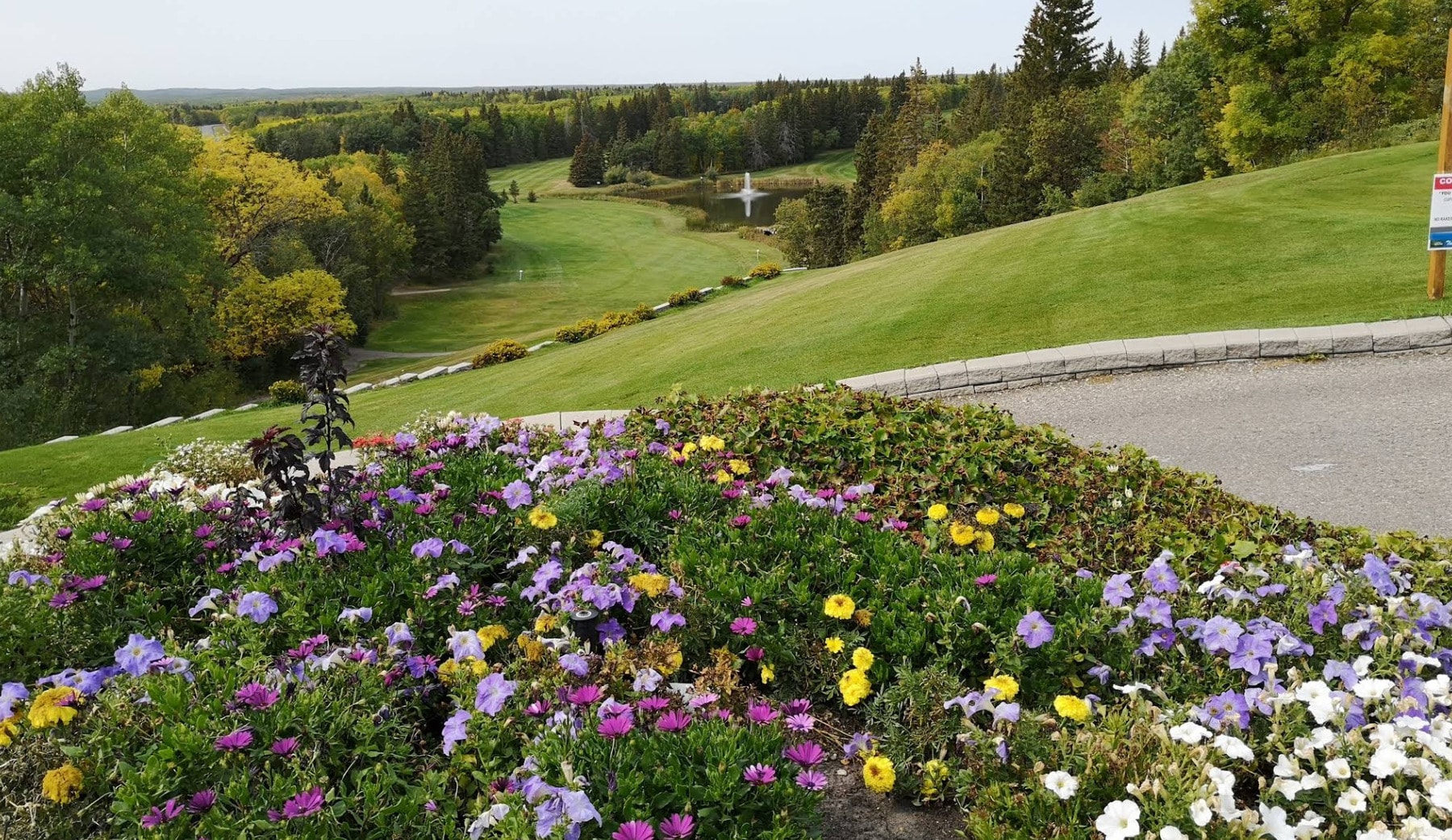 Peaceful view over Golf Kenosee’s fairways at Moose Mountain Provincial Park, framed by vibrant summer flowers and forested hills. Peaceful view over Golf Kenosee’s fairways at Moose Mountain Provincial Park, framed by vibrant summer flowers and forested hills.