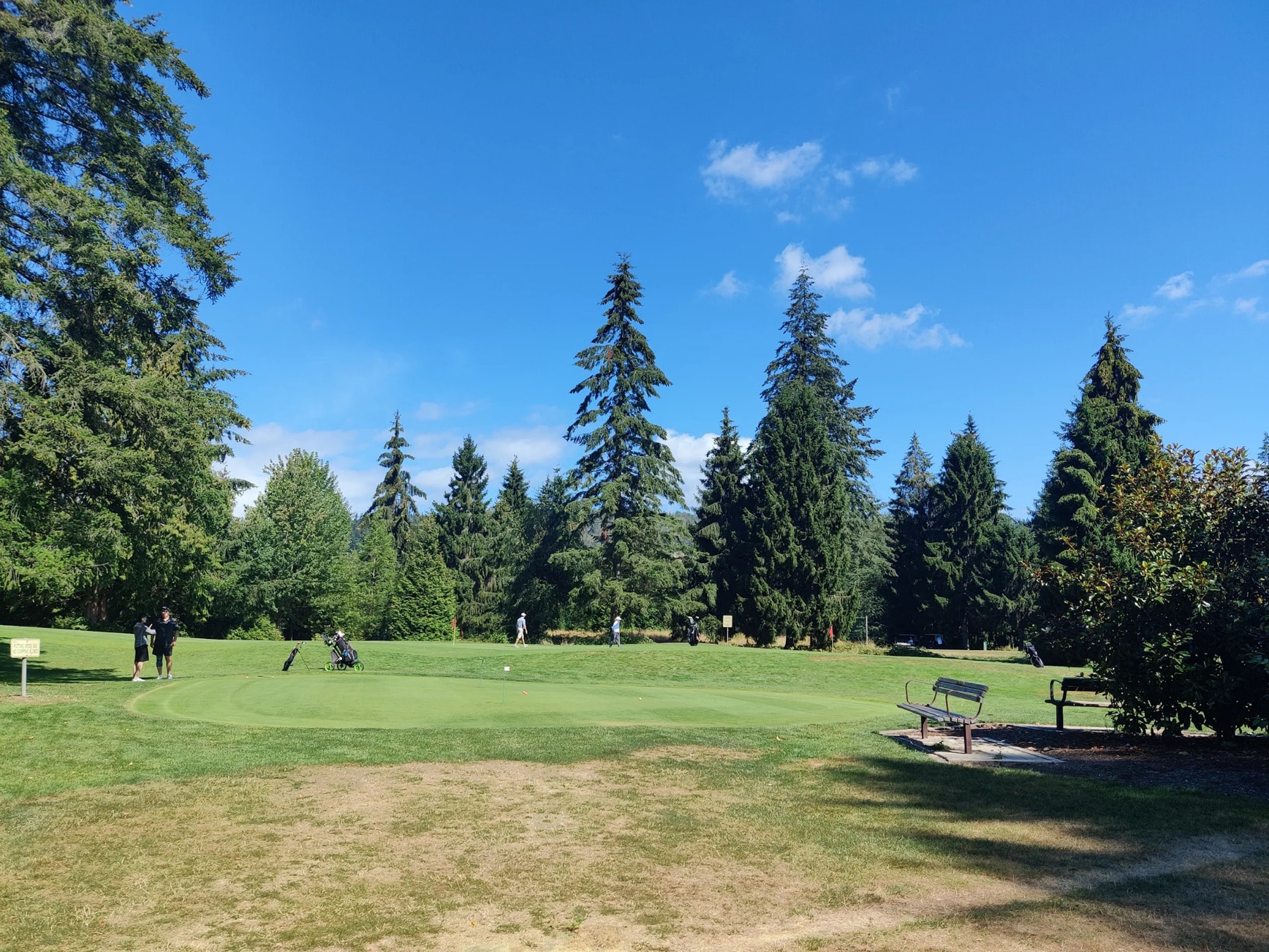 Players enjoying a sunny round on Burnaby Mountain’s open greens, framed by towering evergreens and crisp blue skies. Players enjoying a sunny round on Burnaby Mountain’s open greens, framed by towering evergreens and crisp blue skies.