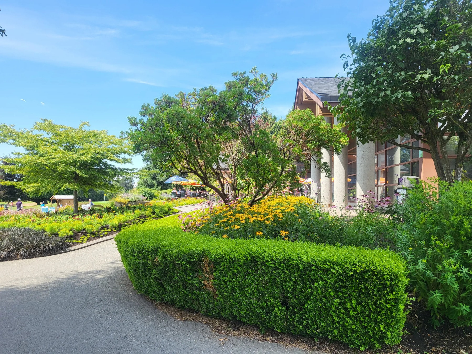 The garden walkway to Langara’s clubhouse feels like a calm escape—lush, quiet, and just steps from the action. The garden walkway to Langara’s clubhouse feels like a calm escape—lush, quiet, and just steps from the action.