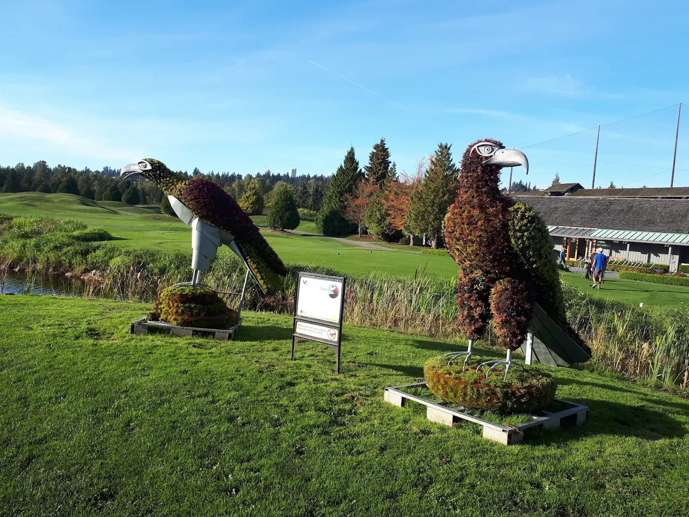 Topiary hawks on display near Riverway’s practice area - part of the course’s unique landscaping and public art vibe Topiary hawks on display near Riverway’s practice area - part of the course’s unique landscaping and public art vibe