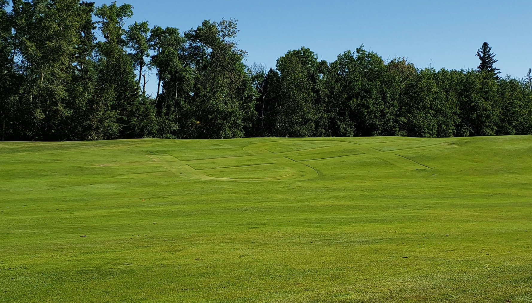 Unique mowing pattern on the fairway at Emma Lake Golf Course, set against a backdrop of tall northern pines. Unique mowing pattern on the fairway at Emma Lake Golf Course, set against a backdrop of tall northern pines.