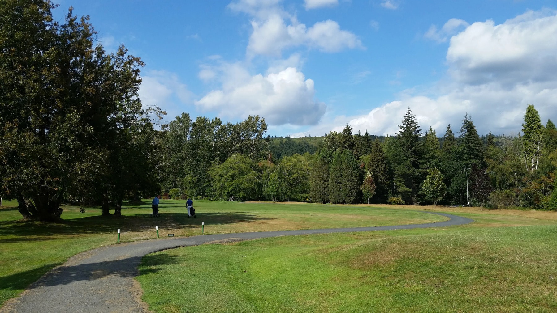 Winding cart path through the trees- a quiet moment on the fairway at Burnaby Mountain, framed by lush forest and rolling hills. Winding cart path through the trees- a quiet moment on the fairway at Burnaby Mountain, framed by lush forest and rolling hills.